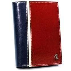 Pánska vertikálna peňaženka, dvojfarebná, prírodná koža HQ - Rovicky